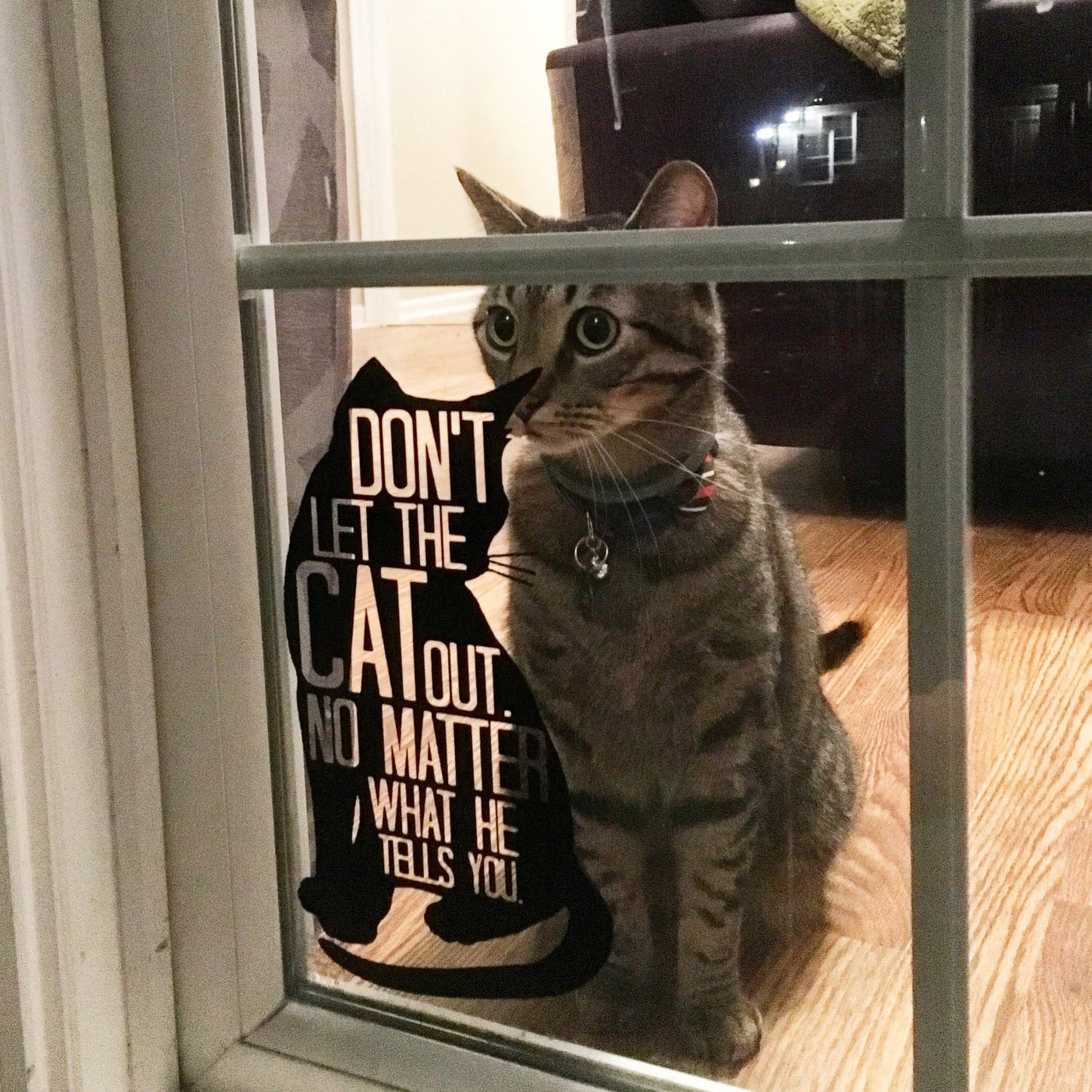 Don't Let the Cat Out - Vinyl Cat Sticker